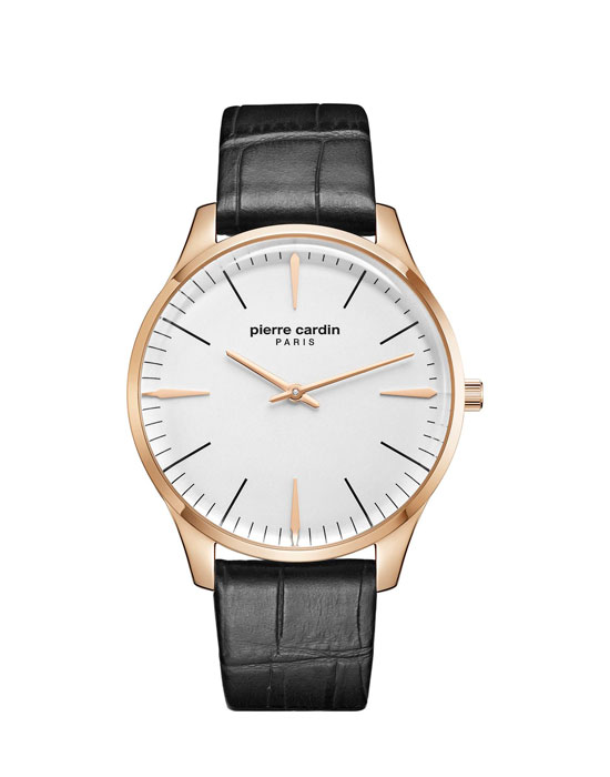 Часы Pierre Cardin Gents PC902271F04